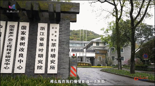 如何真正做有價值的科研？聽“茶葉院士”陳宗懋的答案