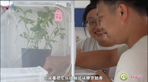 【一線(xiàn)調(diào)研·青春有為】一座海島，一群博士，二十年接力只為一件事