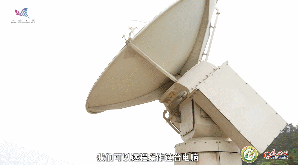 【一線(xiàn)調(diào)研·青春有為】一座海島，一群博士，二十年接力只為一件事