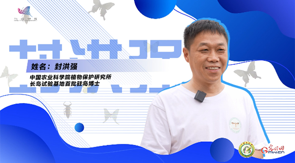【一線調(diào)研·青春有為】一座海島，一群博士，二十年接力只為一件事