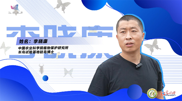 【一線調(diào)研·青春有為】一座海島，一群博士，二十年接力只為一件事