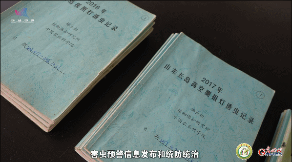 【一線(xiàn)調(diào)研·青春有為】一座海島，一群博士，二十年接力只為一件事