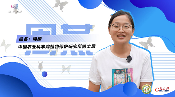 【一線調(diào)研·青春有為】一座海島，一群博士，二十年接力只為一件事