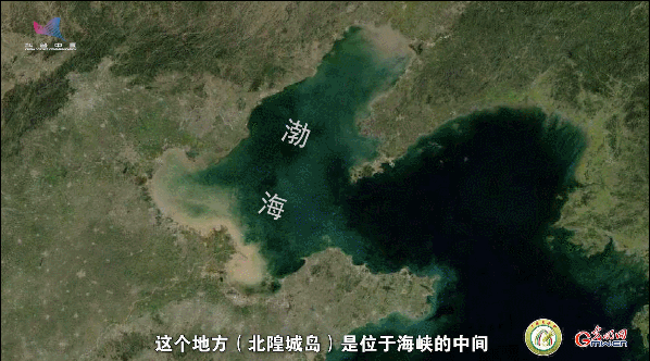 【一線(xiàn)調(diào)研·青春有為】一座海島，一群博士，二十年接力只為一件事