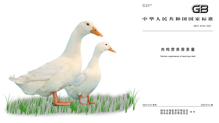 未標題-2.jpg